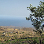 Cape Verdean