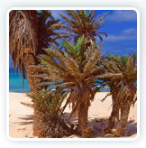 BOA VISTA