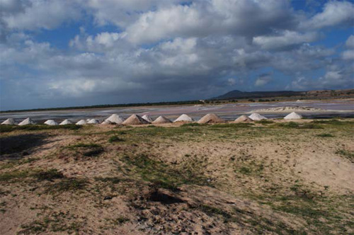Maio Biodiversity Foundation