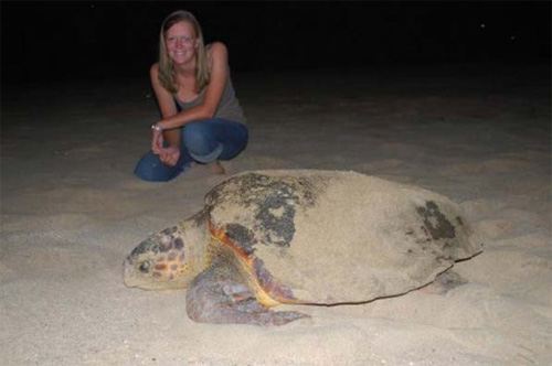 Maio Biodiversity Foundation
