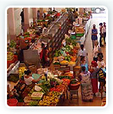 S�o Vicente Island Guide